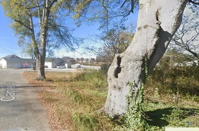 a view of back yard of the house