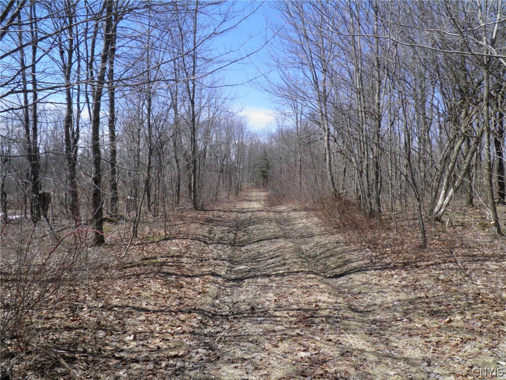 3539 3539th Road Turin, NY 13473 - Photo 2 of 12