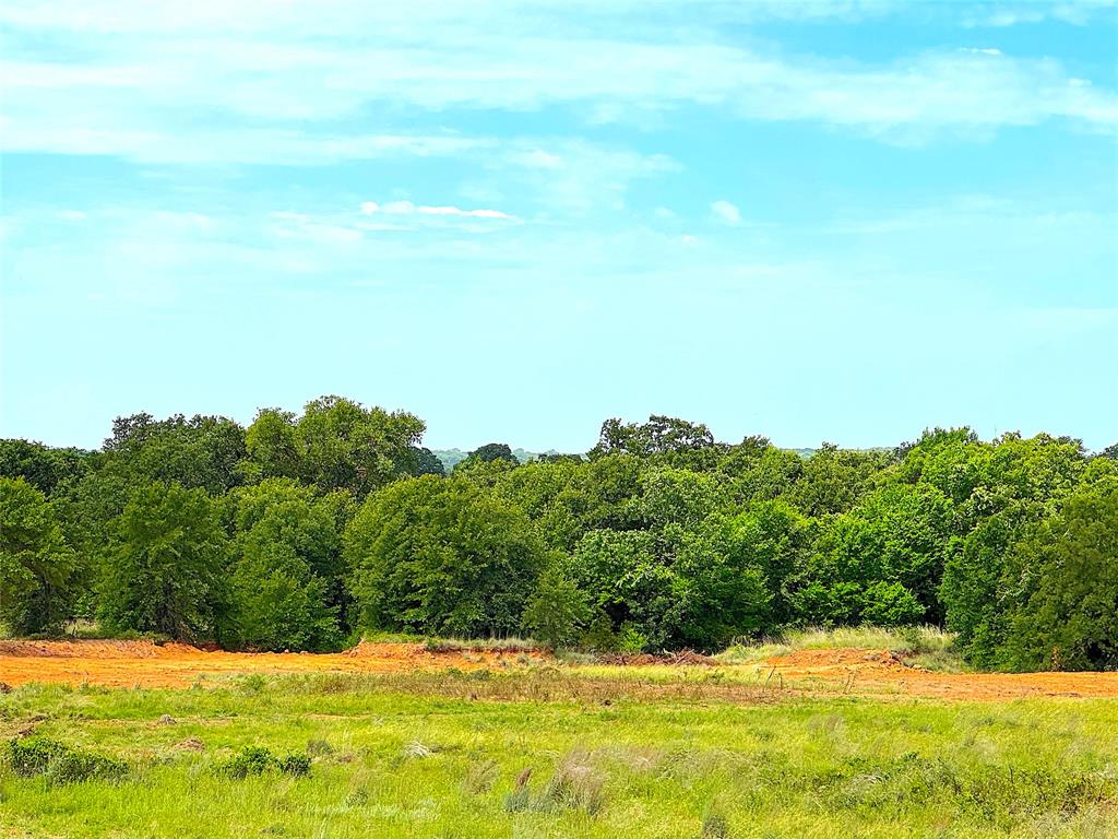 Tbd Turpin Lake Road Poolville, TX 76487 - Photo 11 of 26