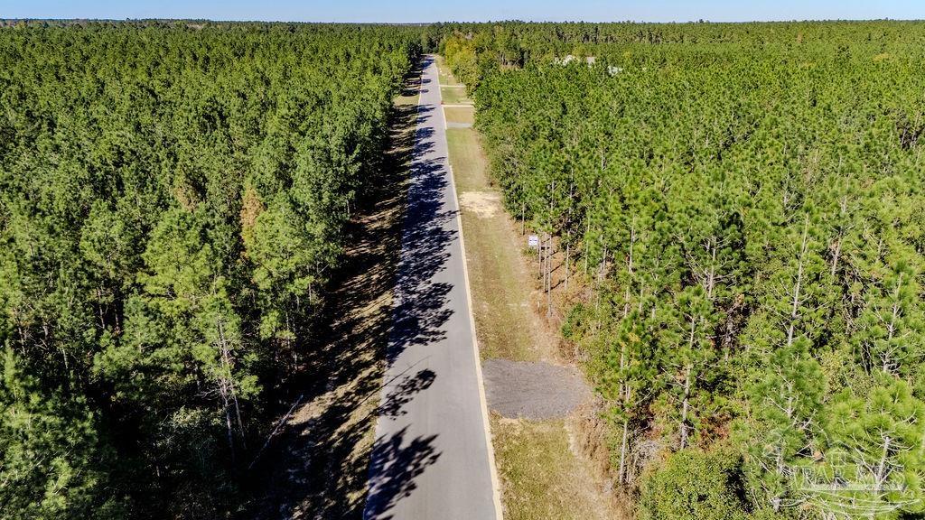 9058 Greyrock Lndg Road Pace, FL 32571 - Photo 12 of 22