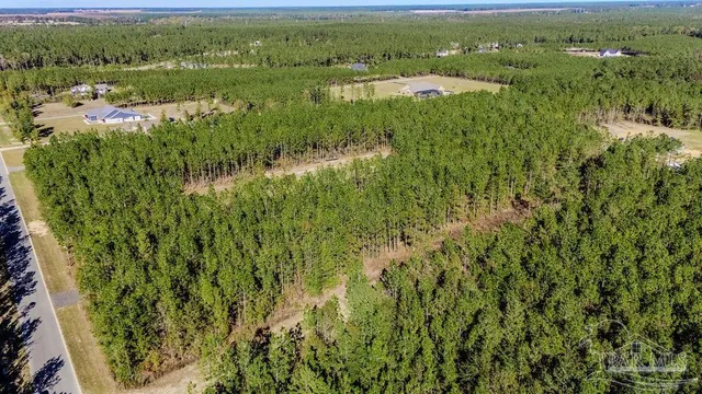 a view of a lake with a city