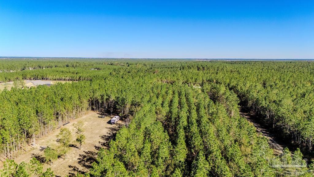 9058 Greyrock Lndg Road Pace, FL 32571 - Photo 15 of 22