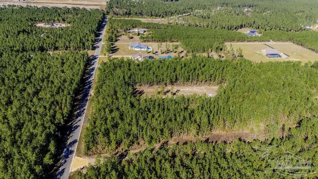 a view of a garden with a tree