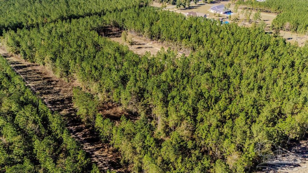 9058 Greyrock Lndg Road Pace, FL 32571 - Photo 18 of 22