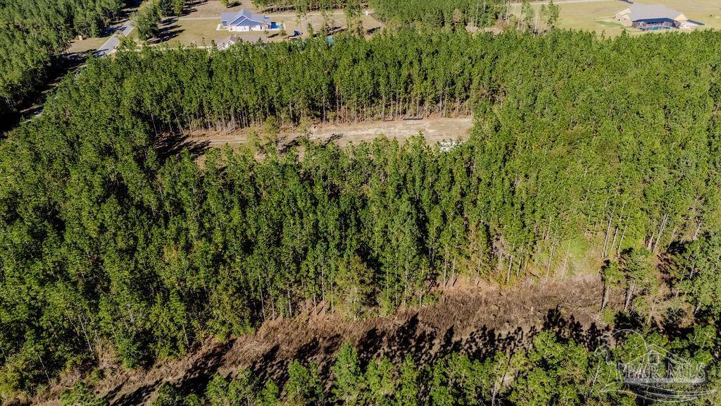 9058 Greyrock Lndg Road Pace, FL 32571 - Photo 19 of 22