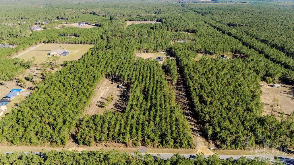 9058 Greyrock Lndg Road Pace, FL 32571 - Photo 20 of 22