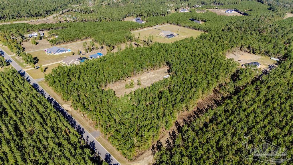 9058 Greyrock Lndg Road Pace, FL 32571 - Photo 21 of 22