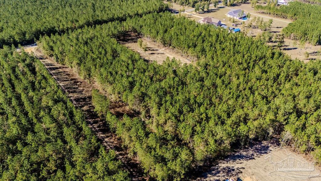 9058 Greyrock Lndg Road Pace, FL 32571 - Photo 22 of 22