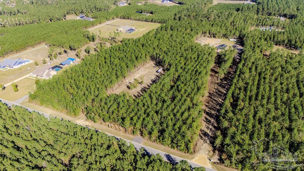 9058 Greyrock Lndg Road Pace, FL 32571 - Photo 5 of 22