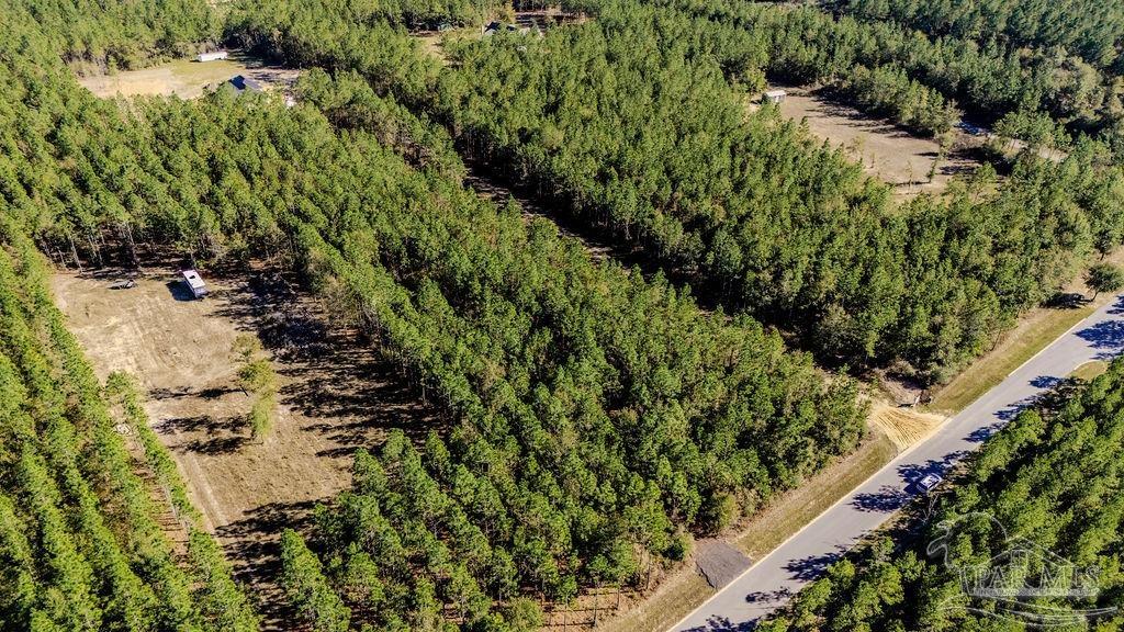 9058 Greyrock Lndg Road Pace, FL 32571 - Photo 10 of 22