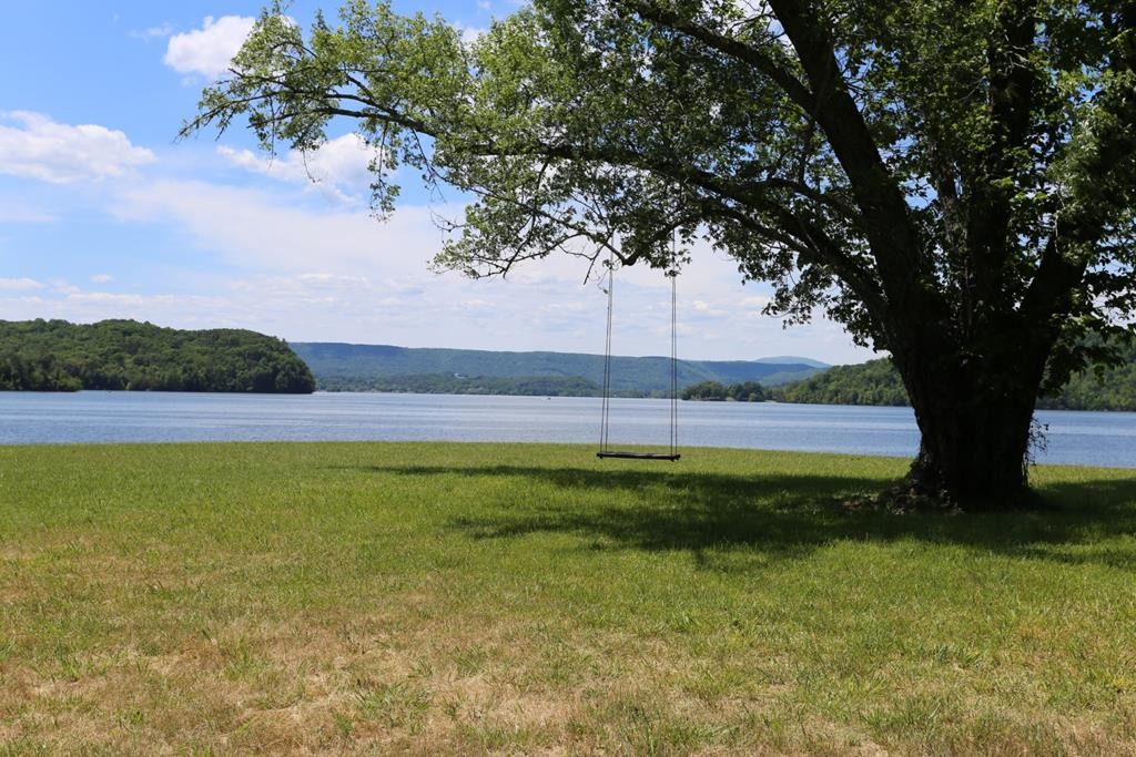 0 Blue Heron Lane Spring City, TN 37381 - Photo 20 of 32 Gallery Image 20