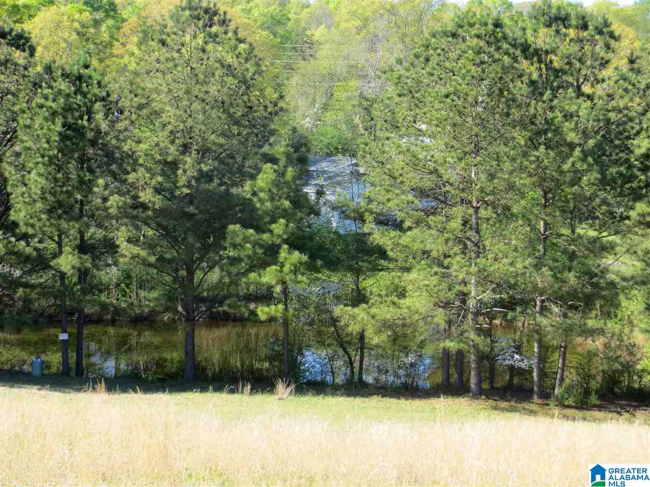 0 Eureka Road, Unit 7 Lincoln, AL 35096 - Photo 31 of 34