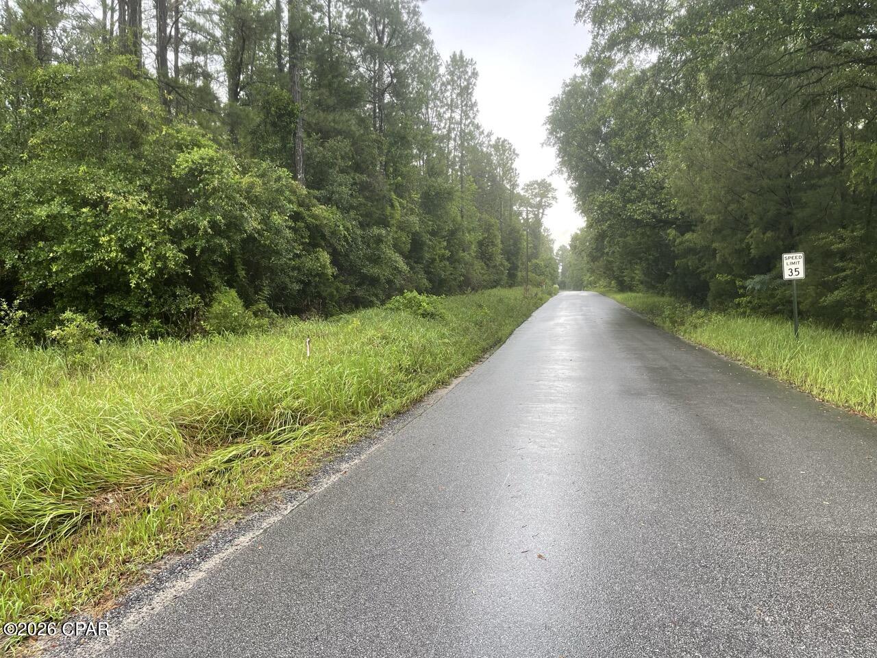 0 Beall Packing House Road Bonifay, FL 32425 - Photo 5 of 9