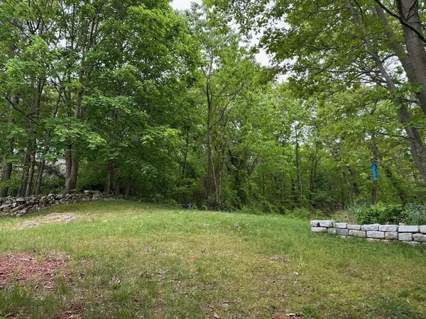 a view of a green field with trees