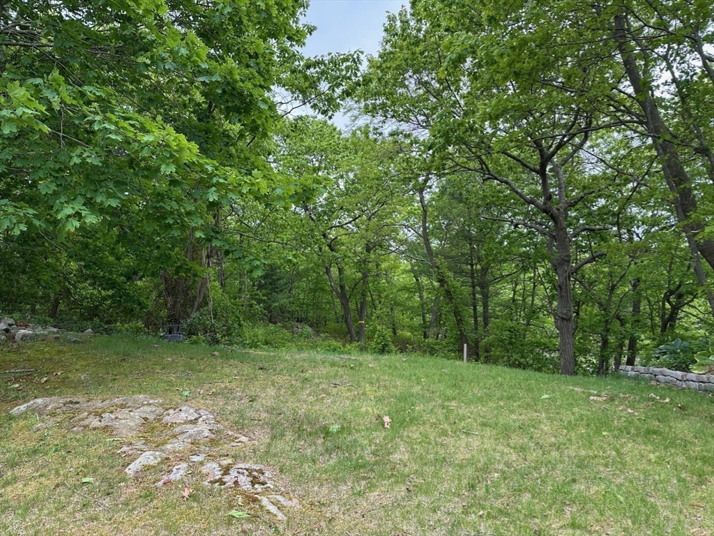 15 Curlew Street Boston, MA 02132 - Photo 28 of 30 a view of outdoor space and yard
