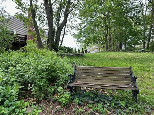 a view of a back yard