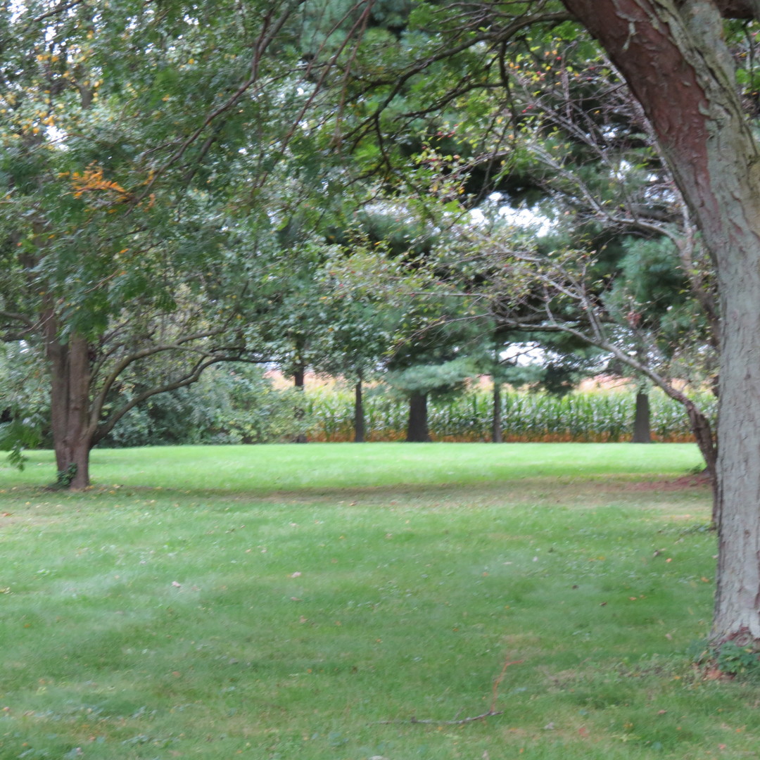 27160 South Center Road Monee, IL 60449 - Photo 4 of 7 a view of field with trees in the background