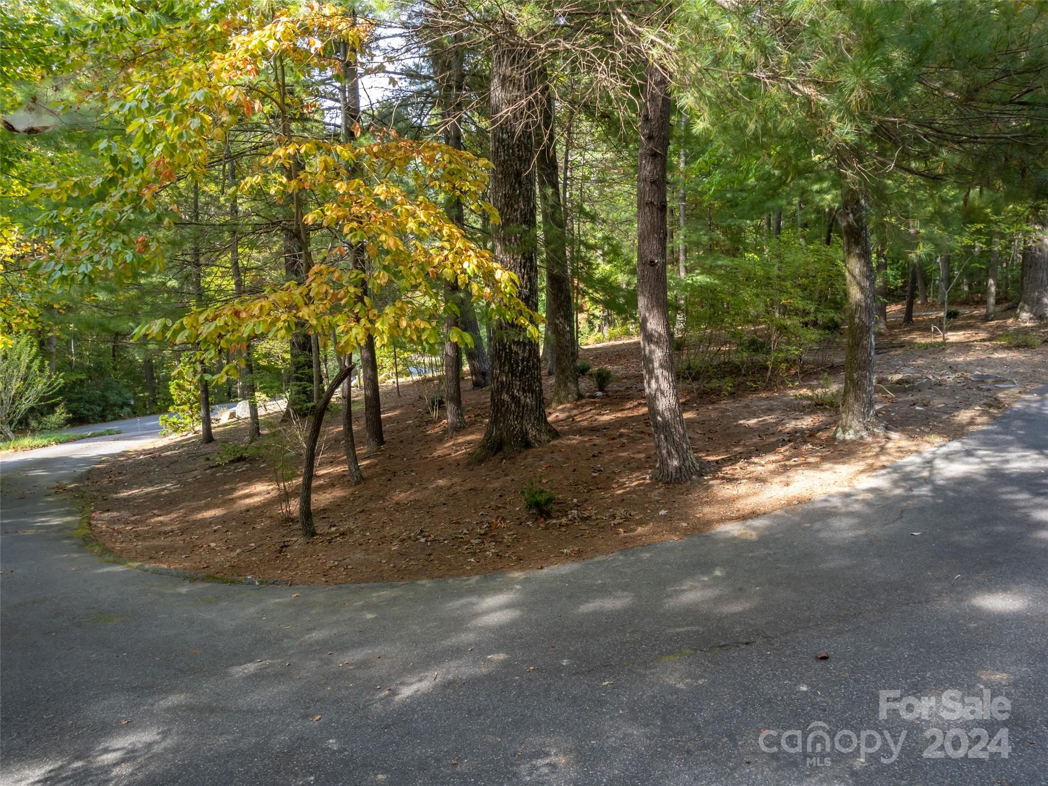 65 Winfield Cove Road Saluda, NC 28773 - Photo 46 of 48