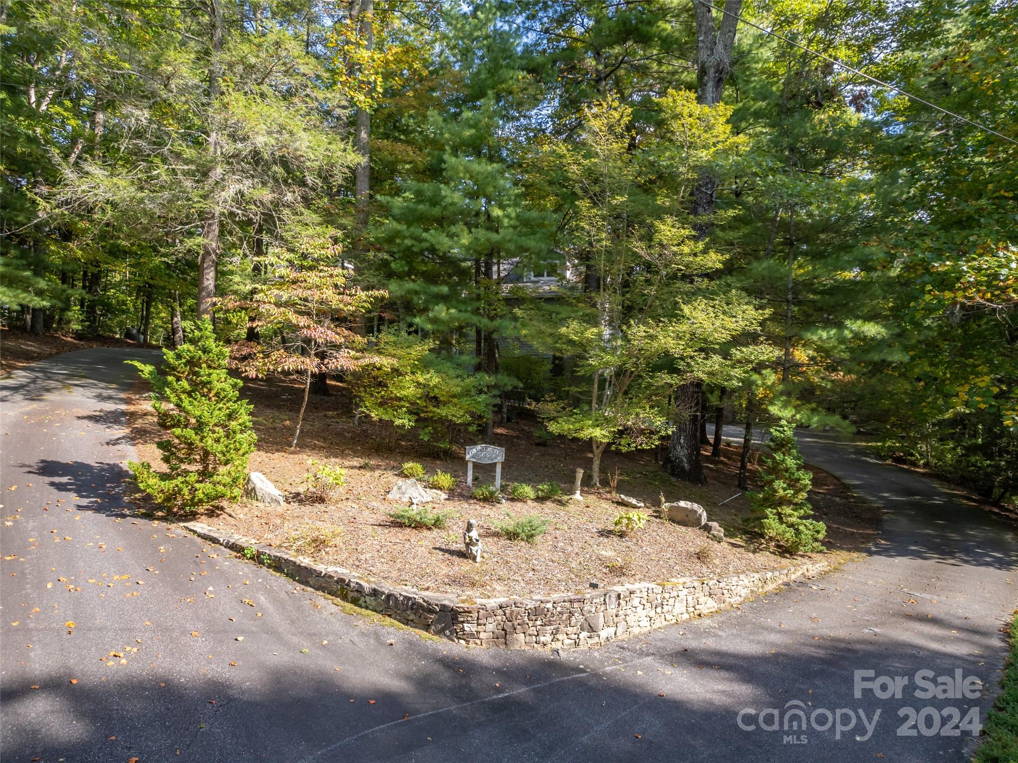 65 Winfield Cove Road Saluda, NC 28773 - Photo 6 of 48