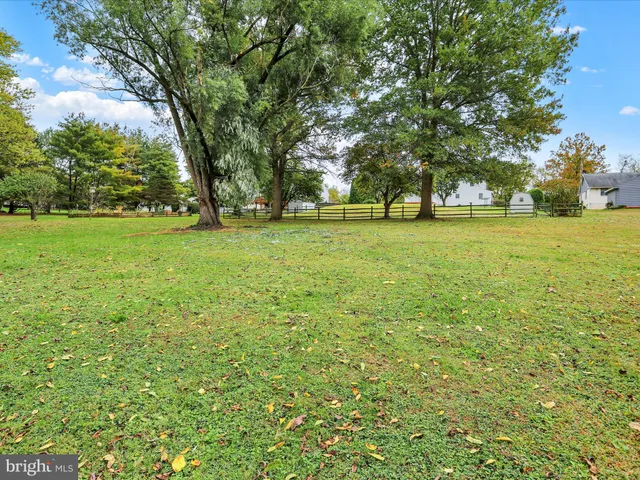 a view of outdoor space with trees all around