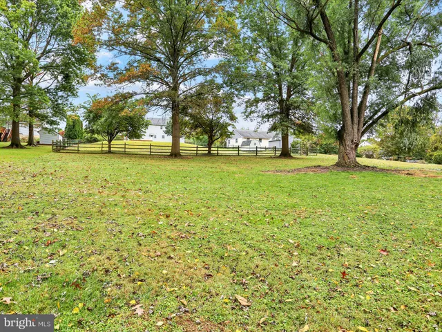 a view of a trees with a big yard