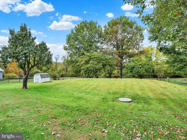 a view of yard with green space
