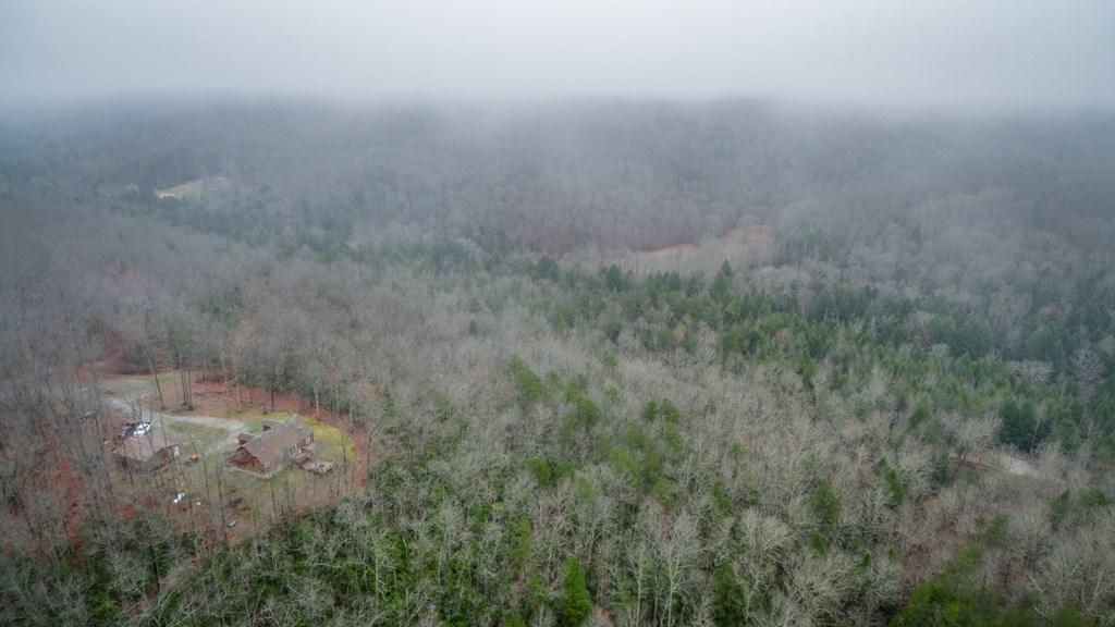 1130 Laurel Creek Road Crawford, TN 38554 - Photo 11 of 29 1130 Laurel Creek Rd 10