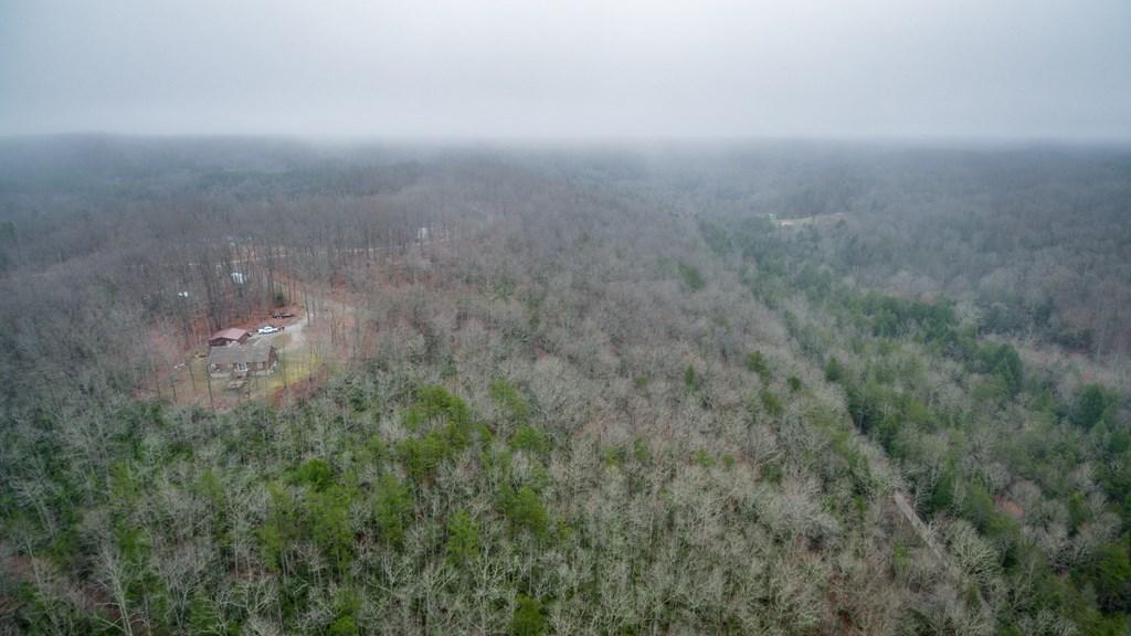1130 Laurel Creek Road Crawford, TN 38554 - Photo 12 of 29 1130 Laurel Creek Rd 11