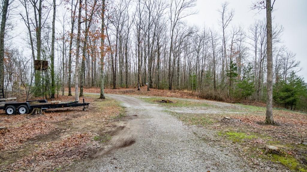 1130 Laurel Creek Road Crawford, TN 38554 - Photo 25 of 29 1130 Laurel Creek Rd 24