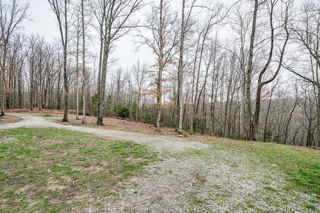 1130 Laurel Creek Road Crawford, TN 38554 - Photo 26 of 29 1130 Laurel Creek Rd 25