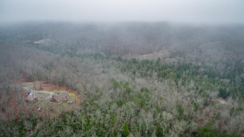 1130 Laurel Creek Road Crawford, TN 38554 - Photo 5 of 29 1130 Laurel Creek Rd 4