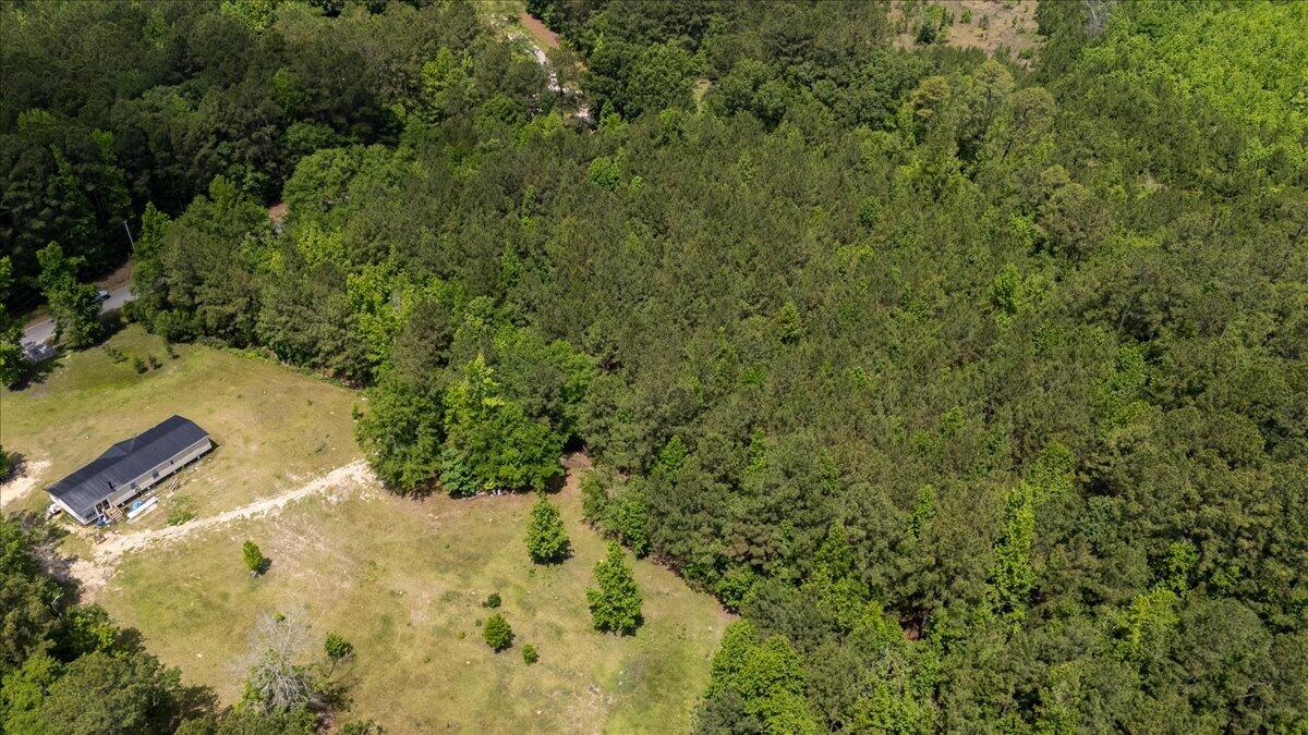 0 Deneaux Road Rowesville, SC 29133 - Photo 37 of 43 37-Deneaux-28