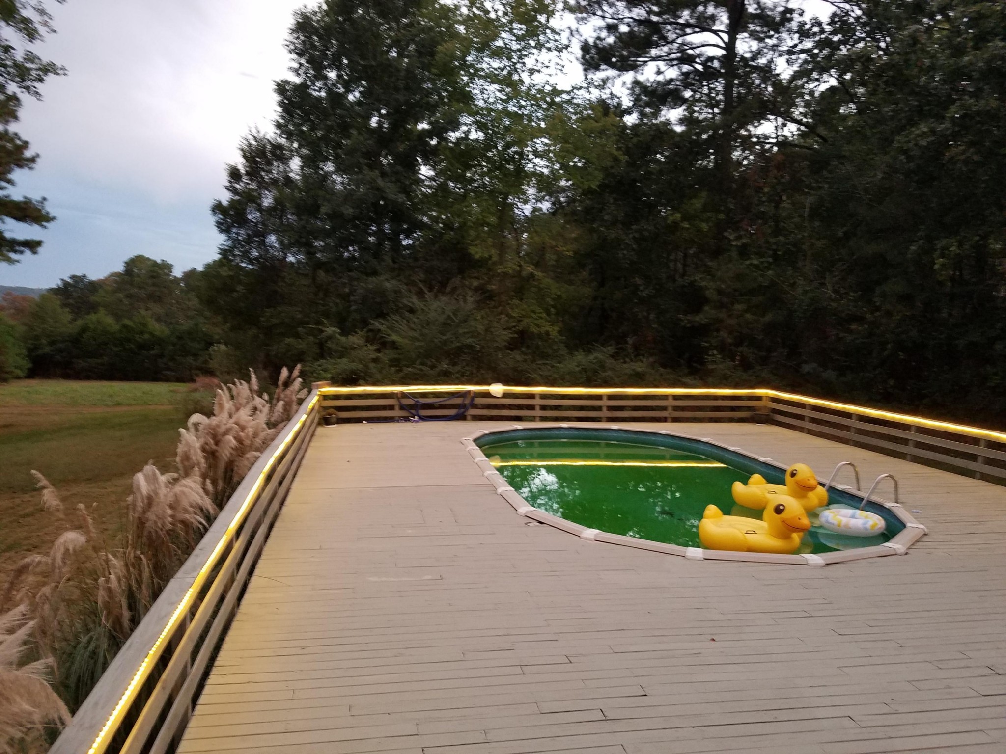 145 Raintree Lane Ringgold, GA 30736 - Photo 40 of 40 Gallery Image 40