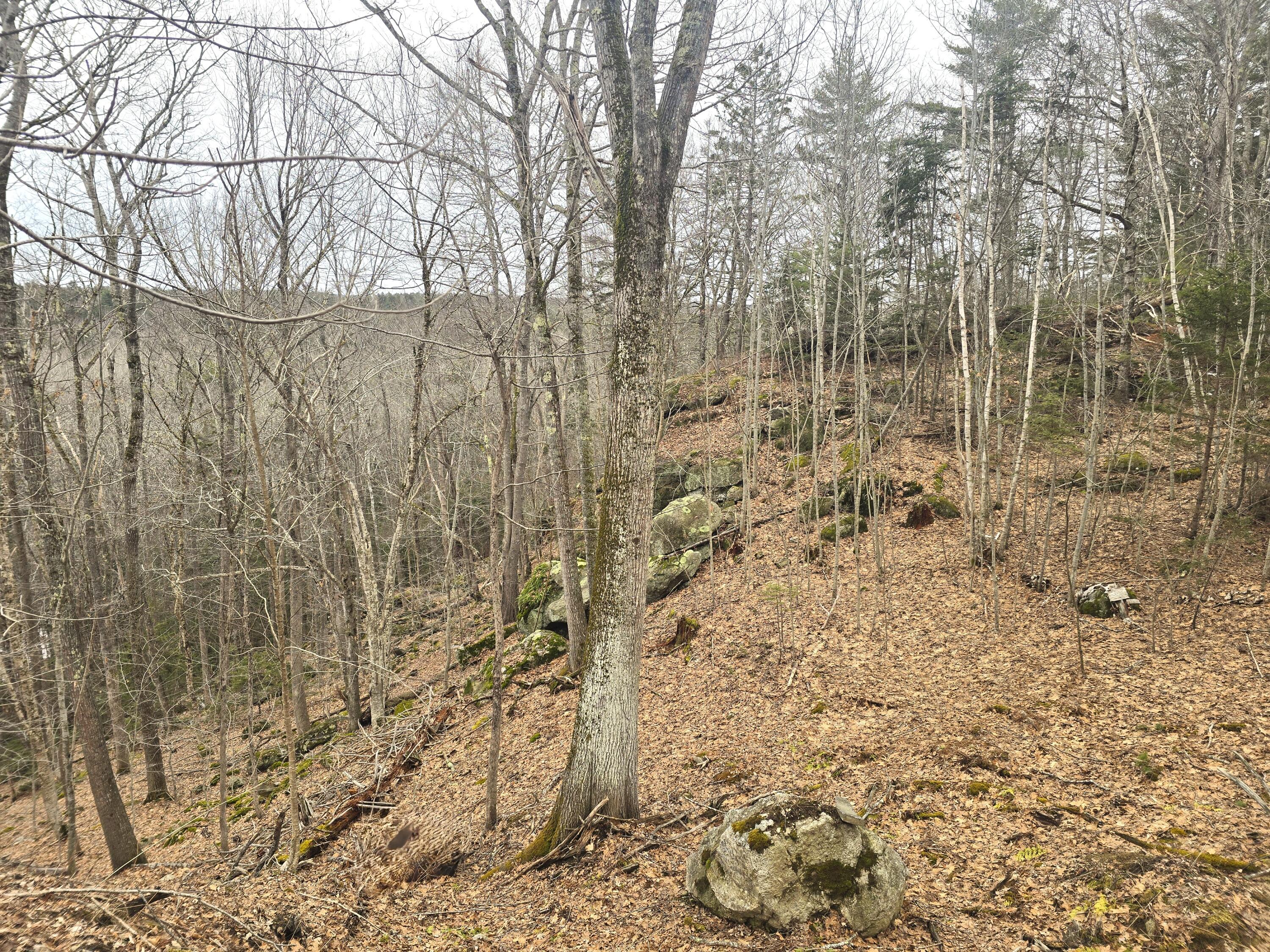 0 Boothbay Road Edgecomb, ME 04556 - Photo 18 of 24 20260326_172452