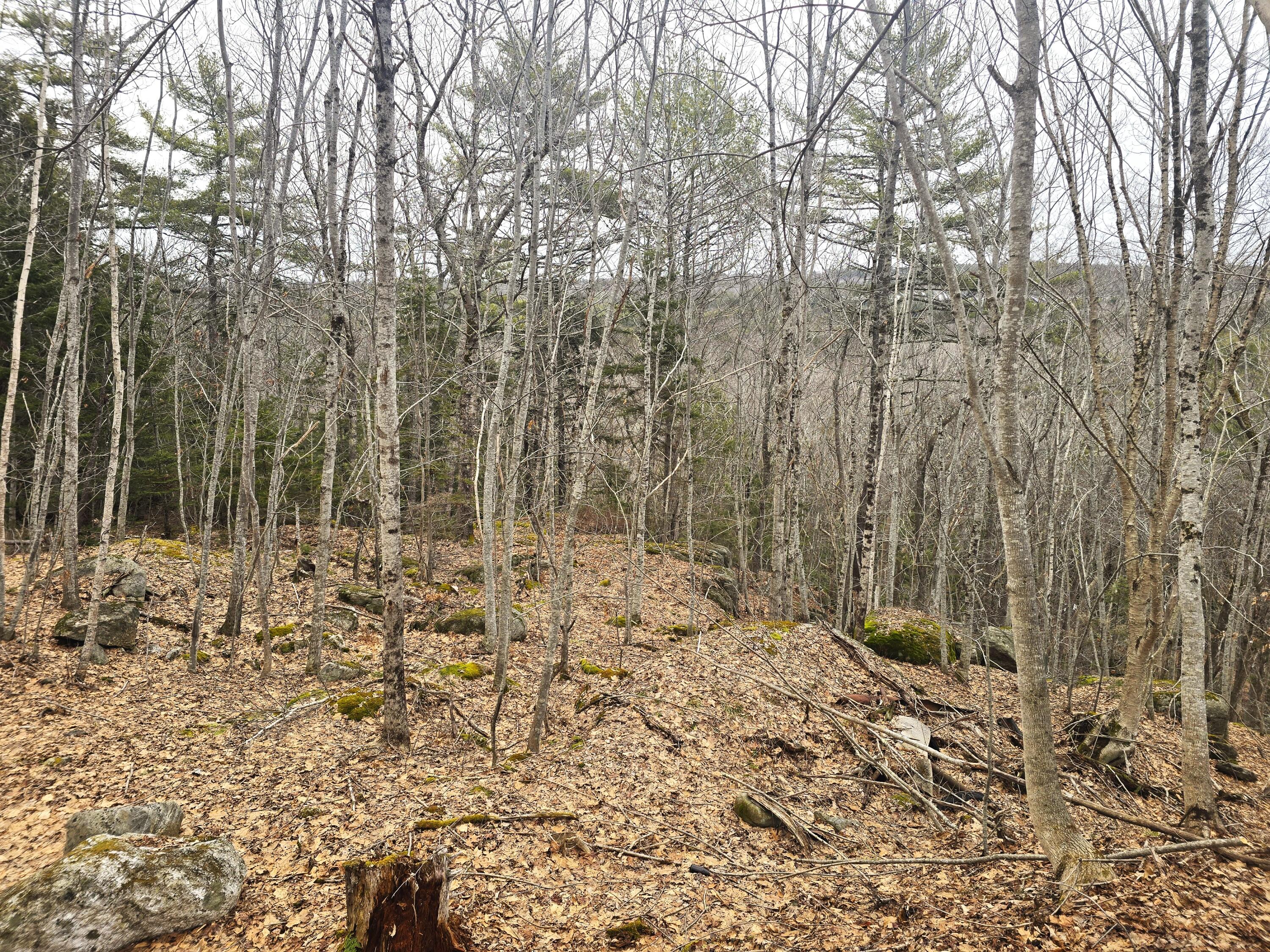 0 Boothbay Road Edgecomb, ME 04556 - Photo 20 of 24 20260326_172522