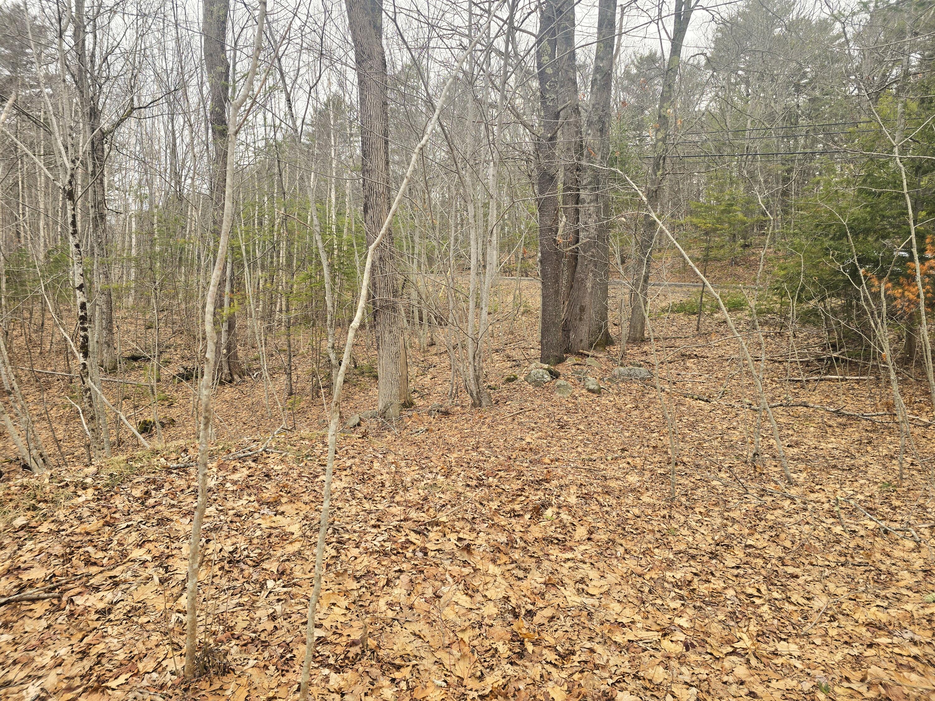 0 Boothbay Road Edgecomb, ME 04556 - Photo 21 of 24 20260326_172534