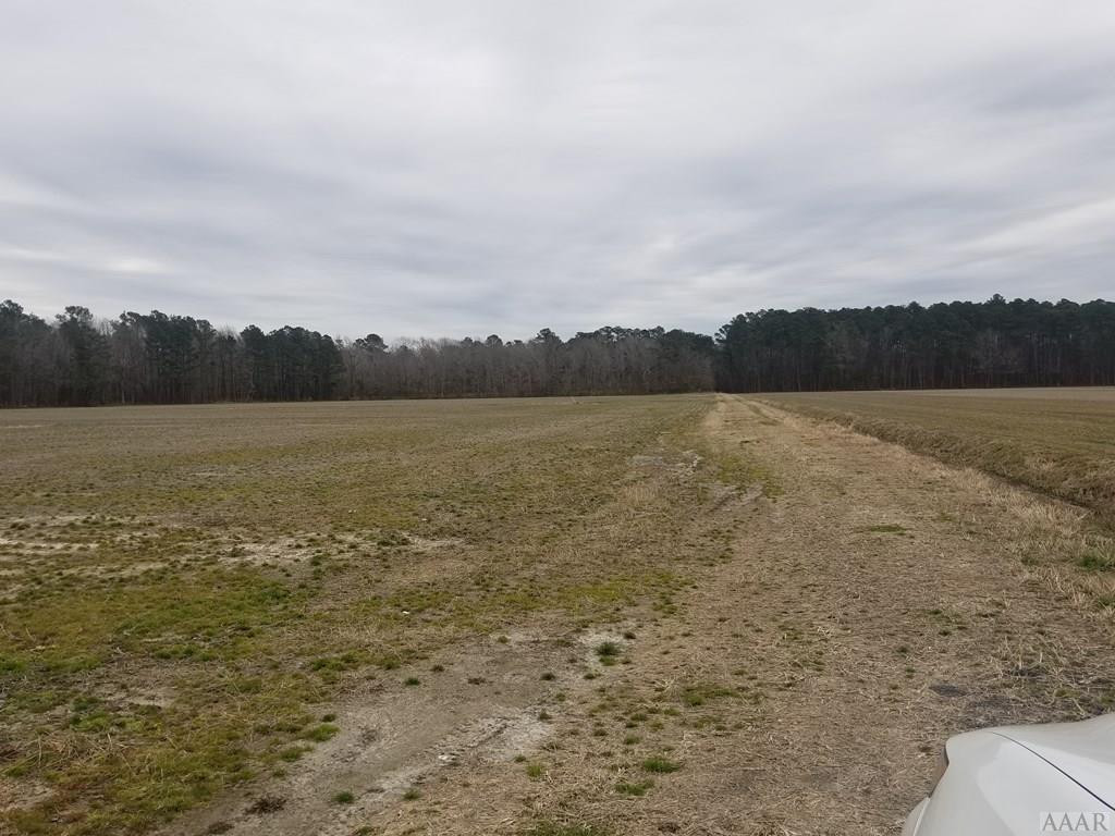 175A Milltown Road Camden, NC 27921 - Photo 3 of 9 Gallery Image 3