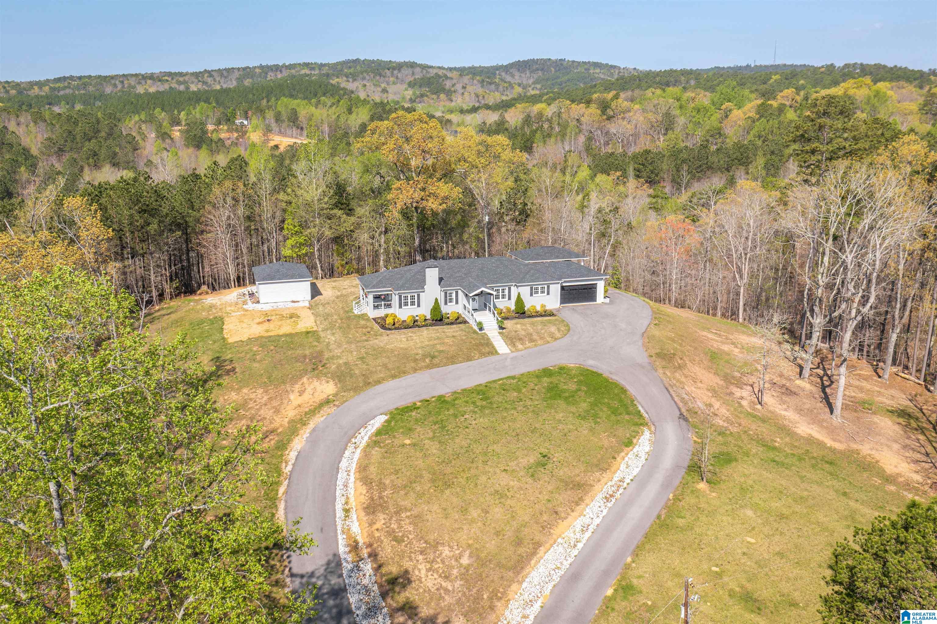 991 Boozer Road Heflin, AL 36264 - Photo 4 of 22