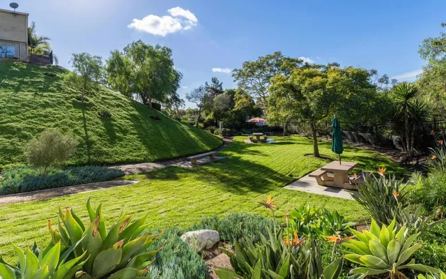 a view of a swimming pool with a yard