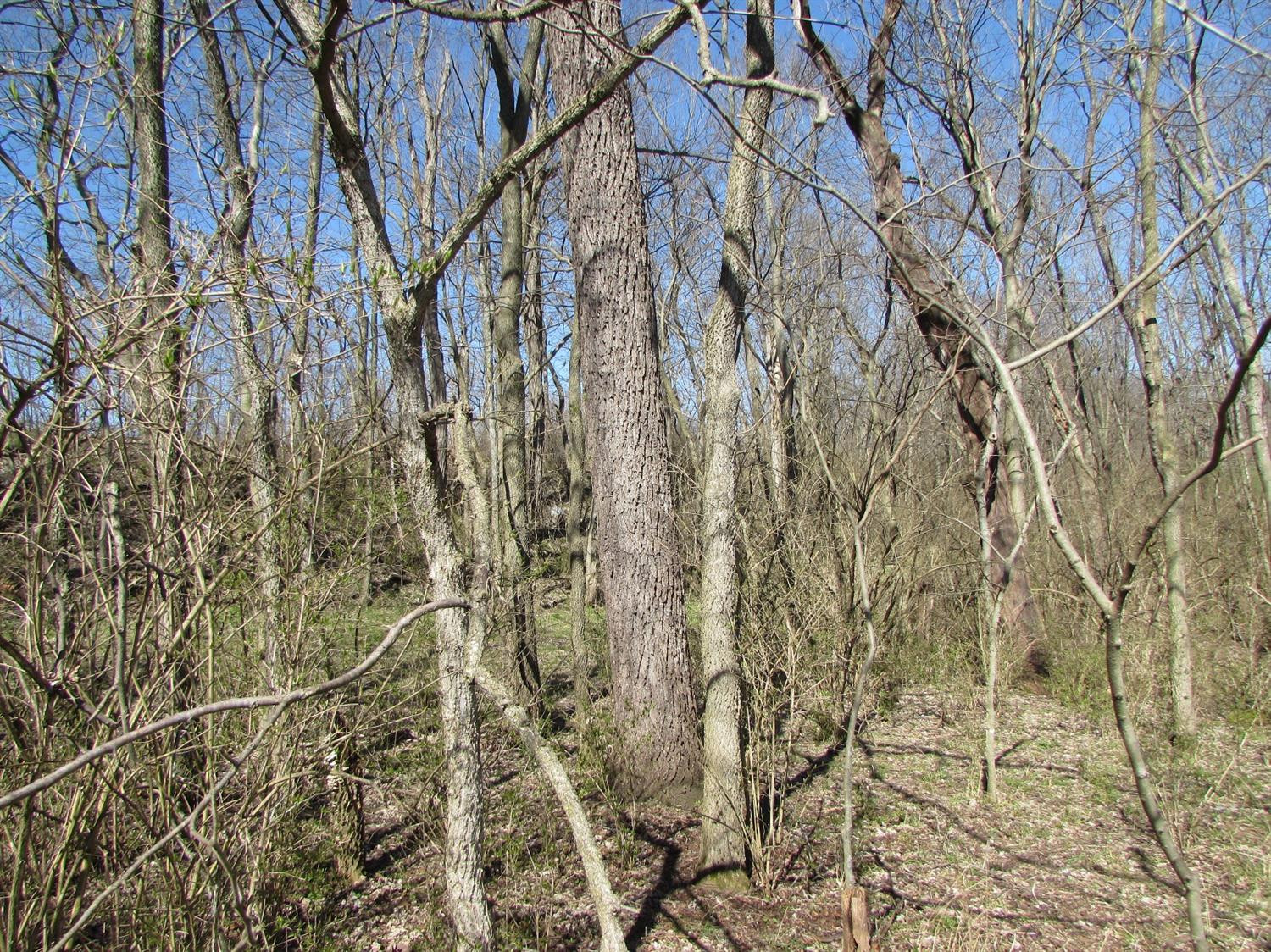 850 Austerlitz Road Paris, KY 40361 - Photo 9 of 12 Photo 9