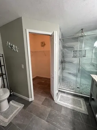 a bathroom with a shower and toilet