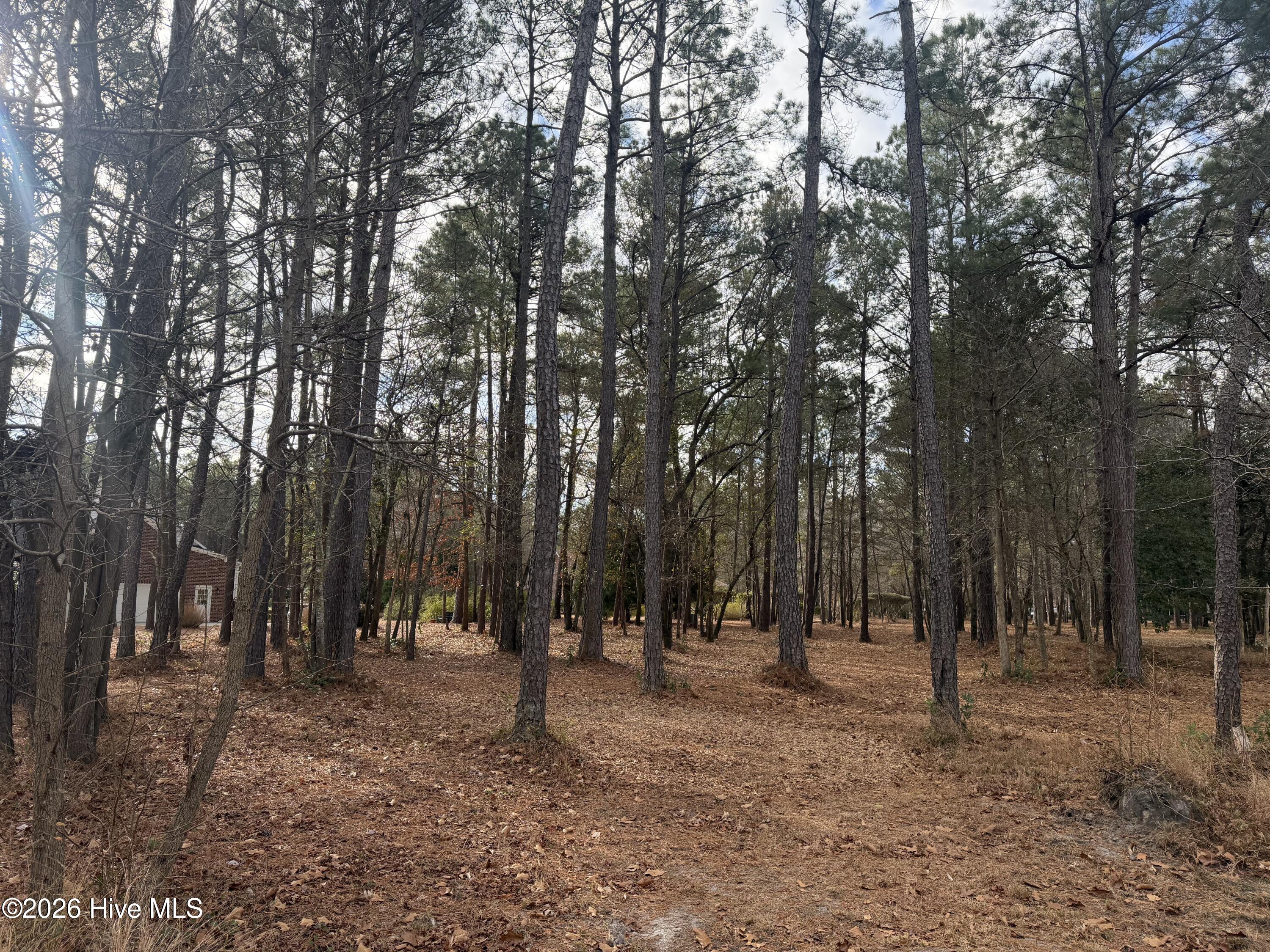 109 Pine Ridge Drive Wallace, NC 28466 - Photo 2 of 25 Custom dream home