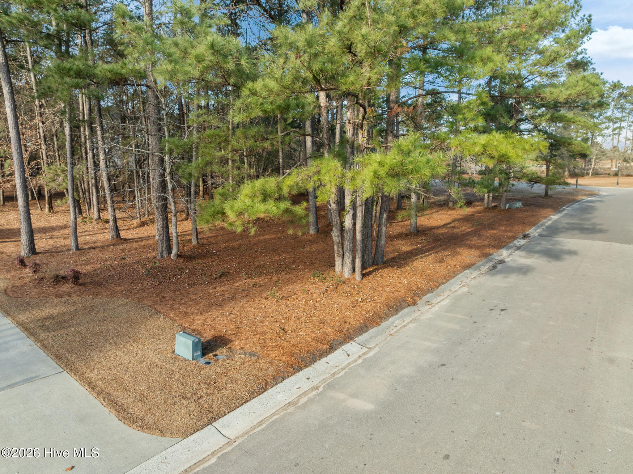 109 Pine Ridge Drive Wallace, NC 28466 - Photo 6 of 25 5-web-or-mls-02