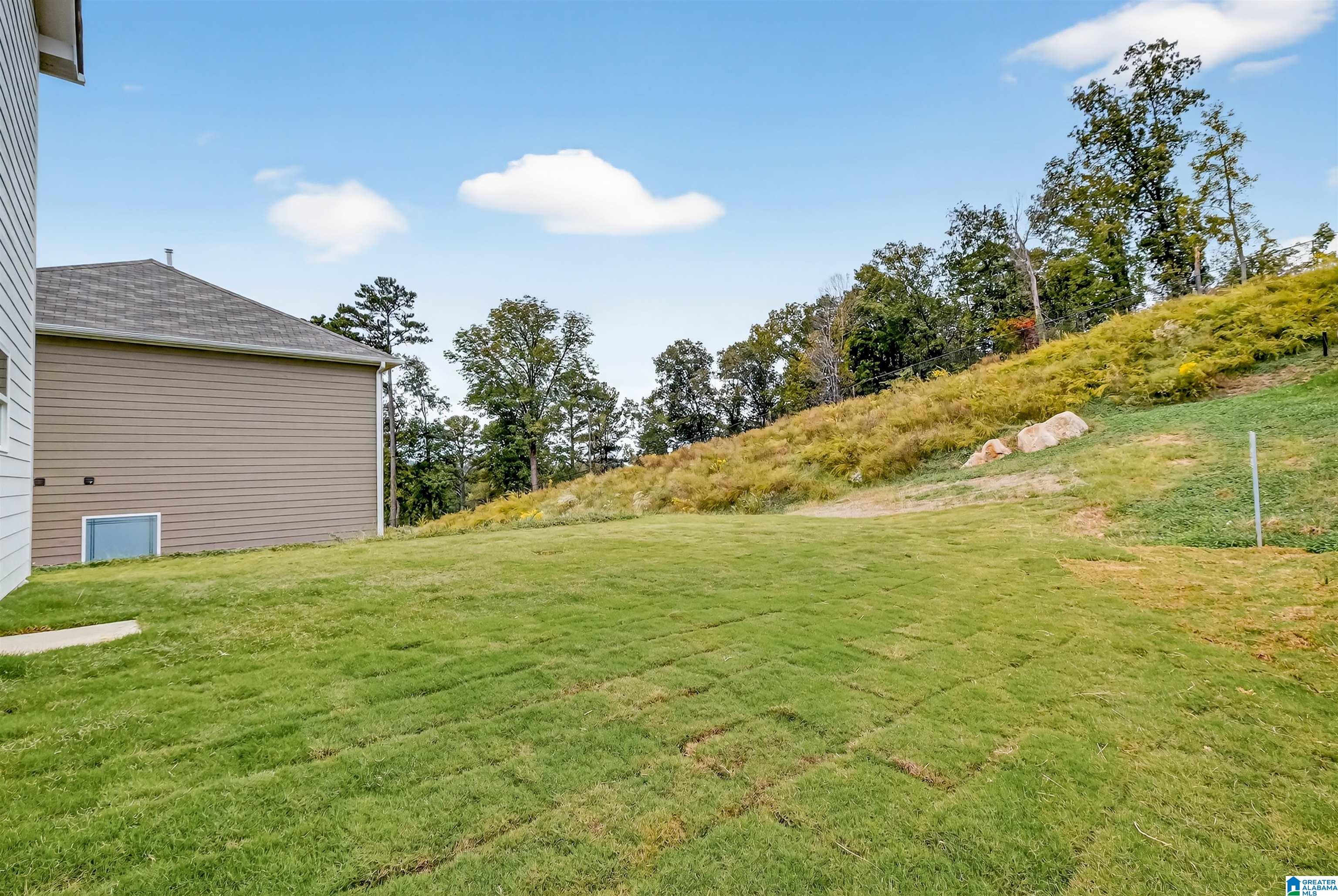 2072 Vly Run Leeds, AL 35094 - Photo 41 of 49