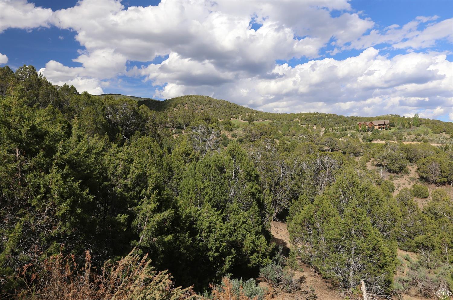 139 Juniper Ridge Road Edwards, CO 81632 - Photo 8 of 11 Additional Photo