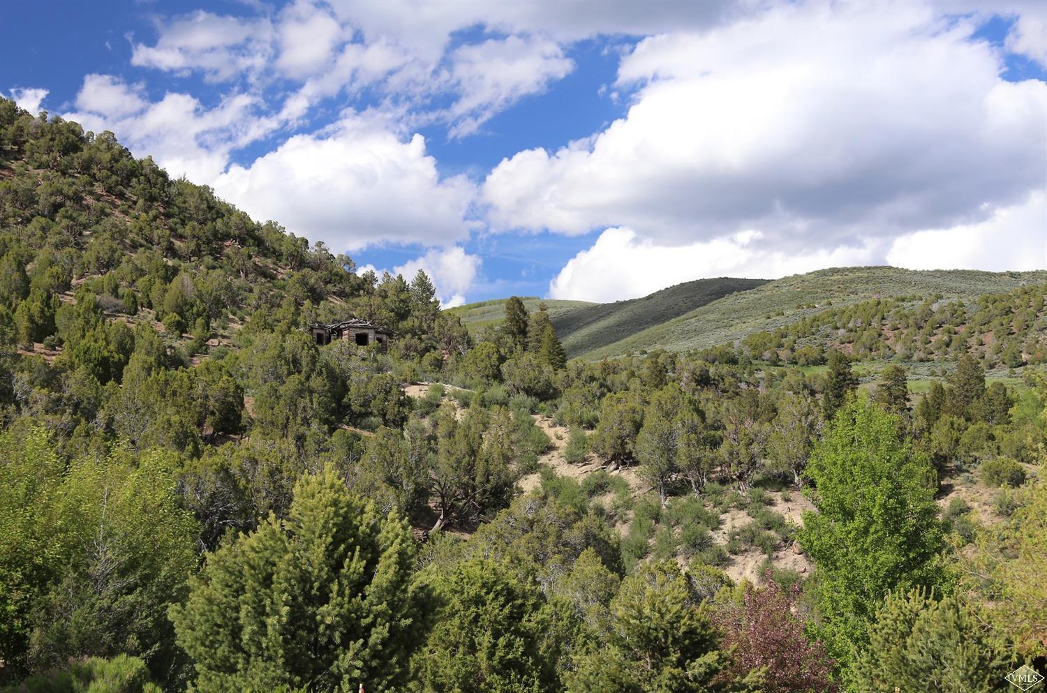 139 Juniper Ridge Road Edwards, CO 81632 - Photo 9 of 11 Additional Photo
