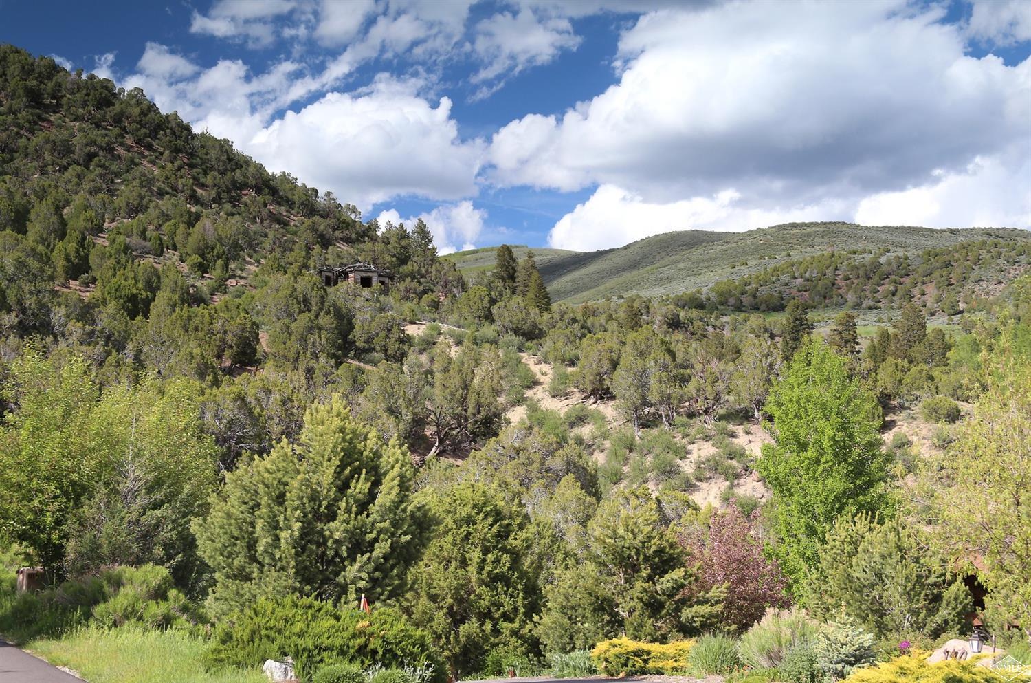 139 Juniper Ridge Road Edwards, CO 81632 - Photo 10 of 11 Additional Photo