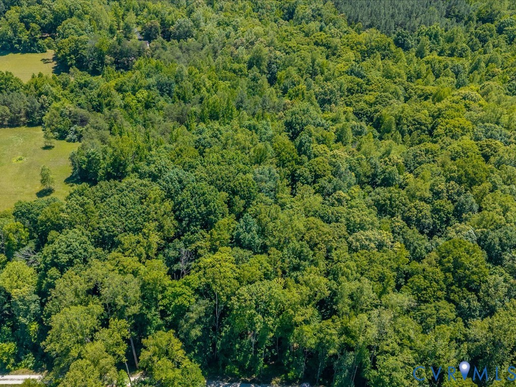 0 Bell Road Powhatan, VA 23139 - Photo 9 of 21