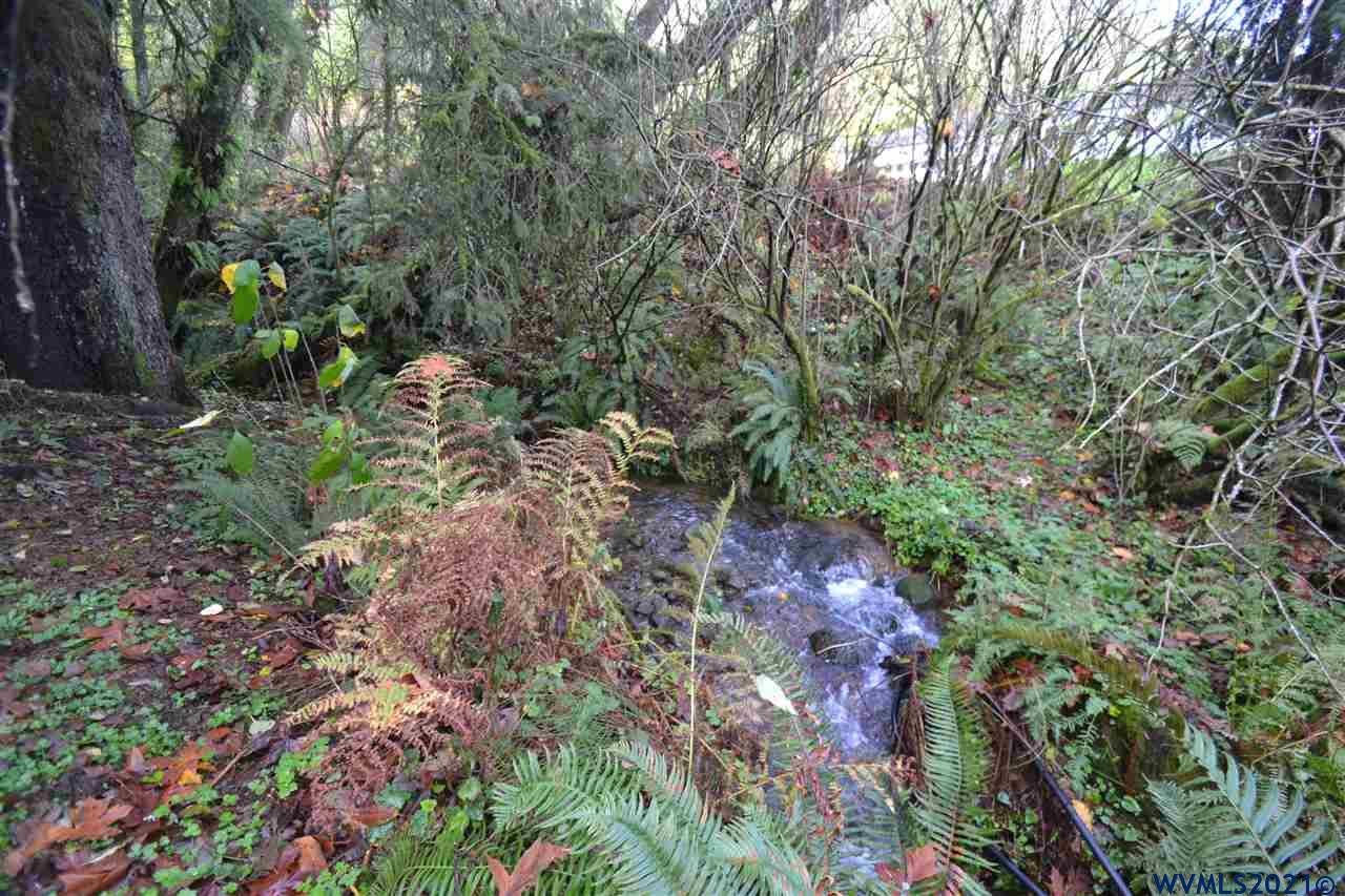 1690 Bayocean Road Northwest Tillamook, OR 97141 - Photo 25 of 25 a view of a forest that has a tree
