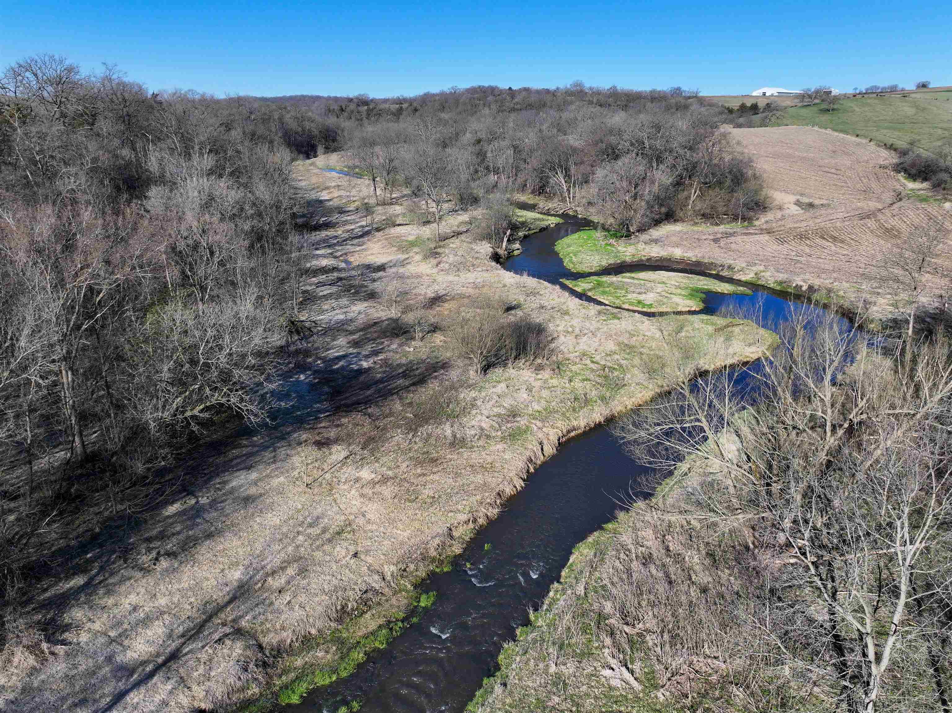 229.98-acres Whitcomb Lane Lancaster, WI 53813 - Photo 18 of 57